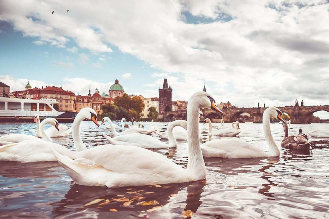 Quiet Apartment With Balcony Charles Bridge Prague Ngoại thất bức ảnh
